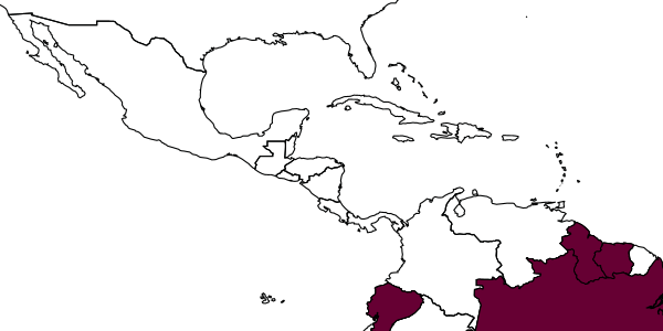 map of Anisepyris beori     Barbosa & Azevedo, 2018